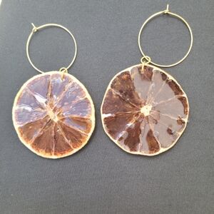 Elegant Gold and Brown Earrings